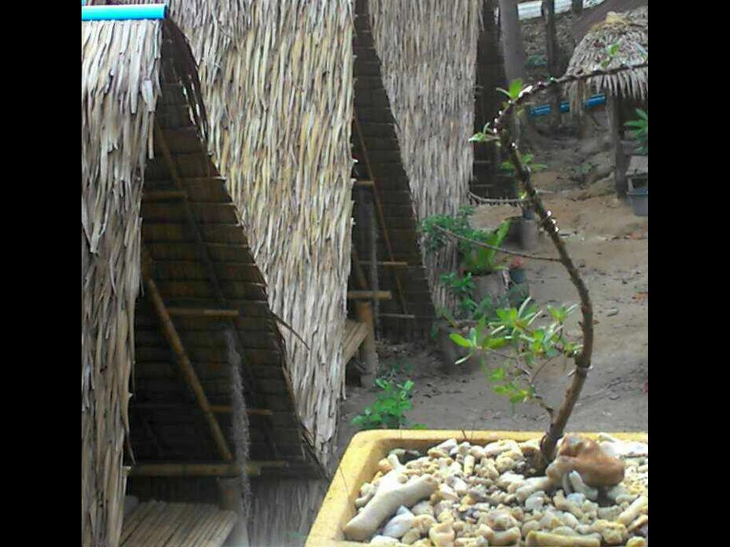 Lipe Camping Zone Exterior foto